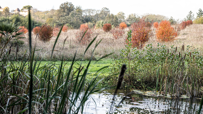 Couleurs d'automne à la Palmeraie du Sarthou à Bétous