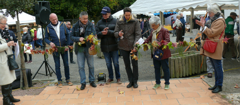 Fête de l'arbre : les exposants ont envahi le village