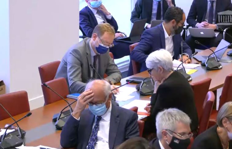Gisèle Biémouret lors de son intervention - Capture d'écran Dailymotion