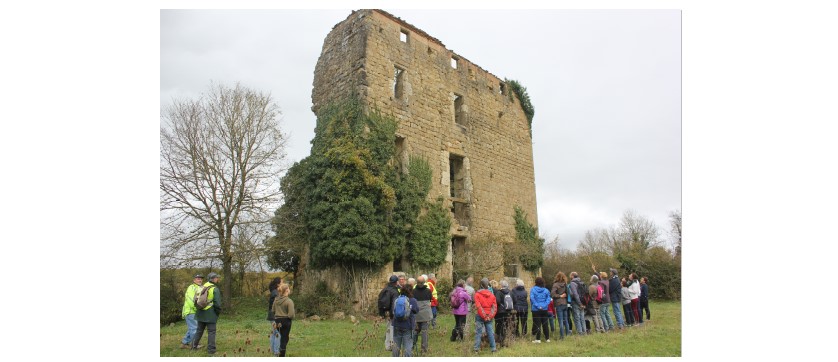 Capture d’écran 2021-11-17 231457.jpg
