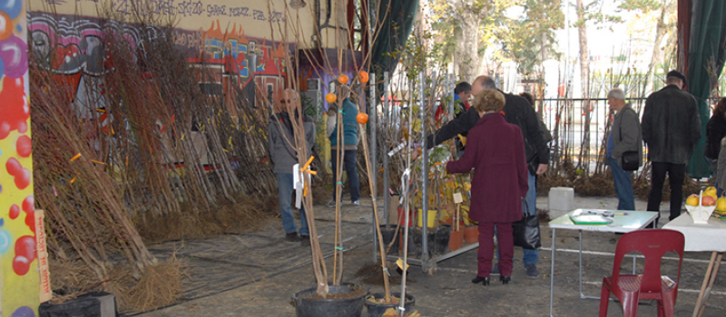 Foire de la SAINTE-CATHERINE - 21 novembre - Auch