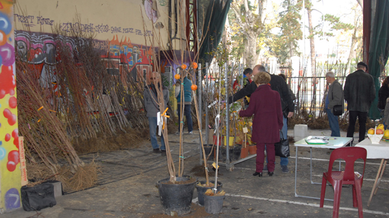 Foire de la SAINTE-CATHERINE - 21 novembre - Auch