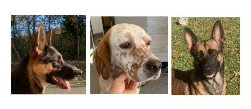 Les trois petits nouveaux de la semaine !