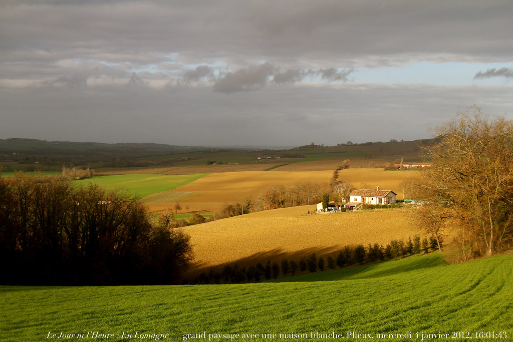 ferme gers.jpg