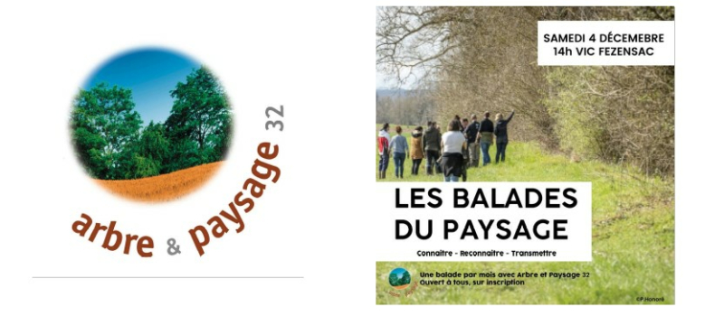 Venez participer à une balade-découverte avec Arbres et Paysage 32!