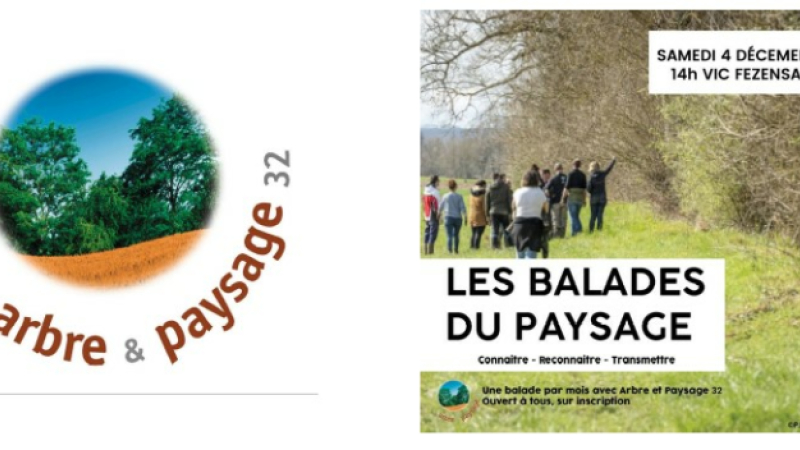 Venez participer à une balade-découverte avec Arbres et Paysage 32!