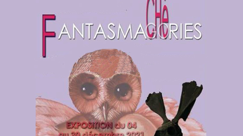 Nouvelle exposition à l'Artothèque
