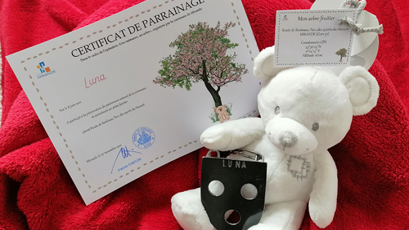 Une vie, un arbre