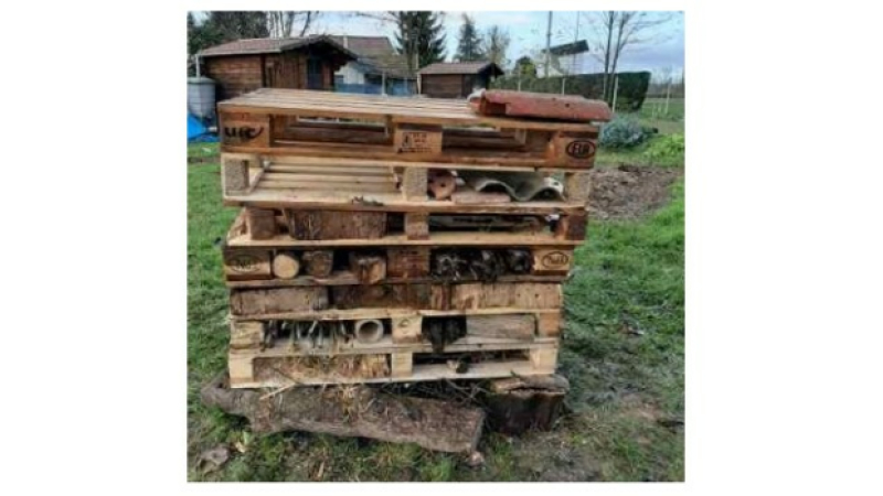 Les jardiniers se lancent dans la fabrication d'un hôtel à insectes !