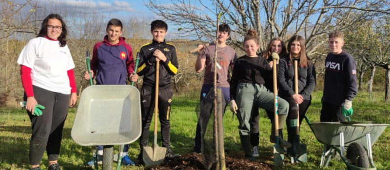 "Des arbres pour le futur!