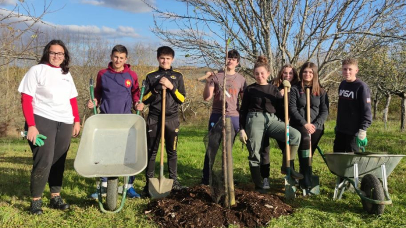"Des arbres pour le futur!