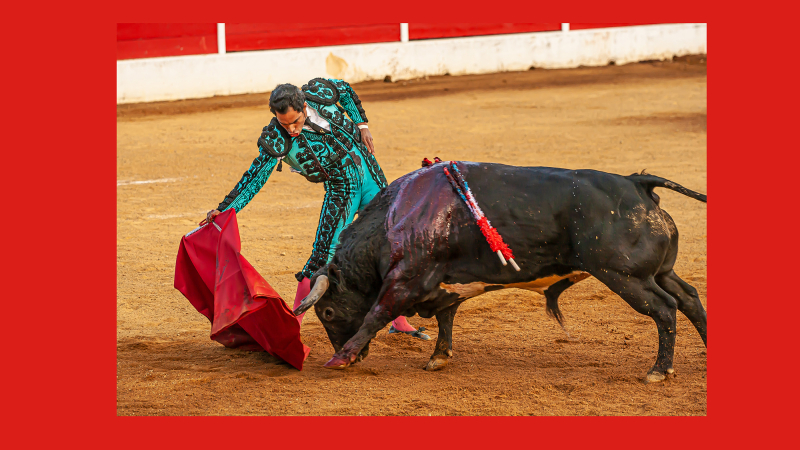Aignan y toros : des retrouvailles pour l'assemblée générale