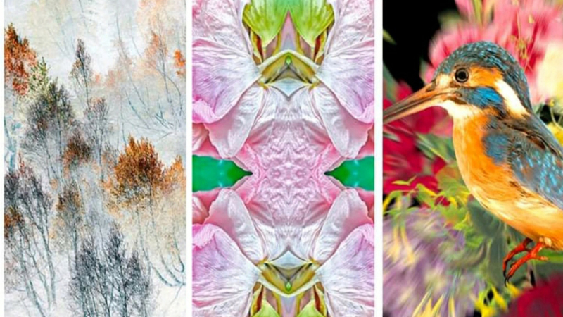 « Mater Natura » à l’atelier Assalit -
