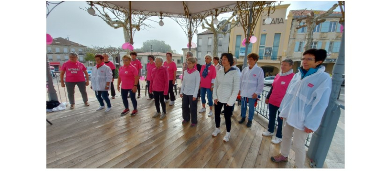 Octobre rose vicois 2021 : un magnifique résultat !