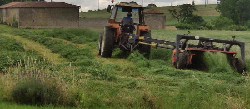 Application de la loi Chassaigne sur les retraites agricoles