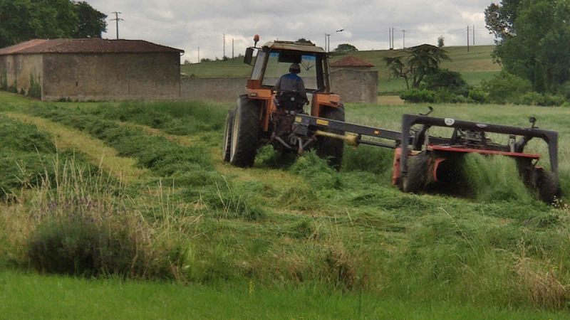Application de la loi Chassaigne sur les retraites agricoles