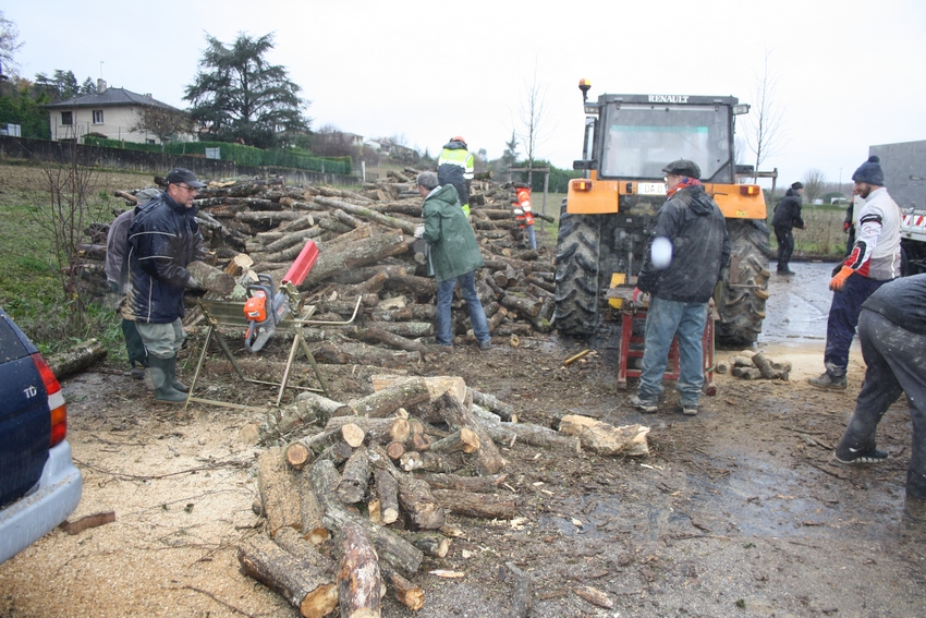 la coupe de bois.JPG