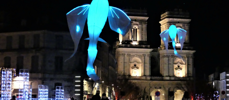 Spectacle féérique avec les "Luminéoles"
