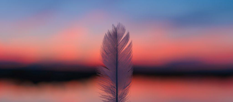 Bulletin Plume « moins 2 »