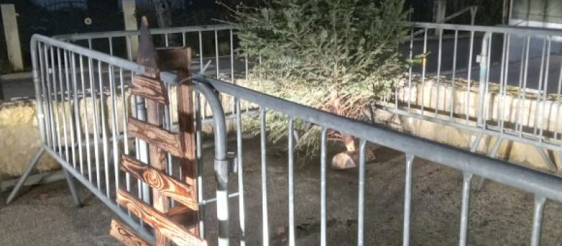 Après les fêtes, offrez une seconde vie à votre sapin