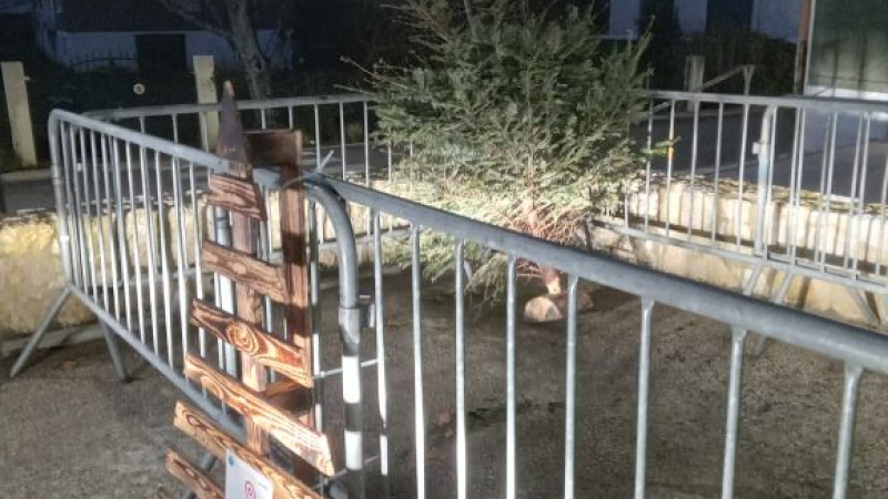 Après les fêtes, offrez une seconde vie à votre sapin
