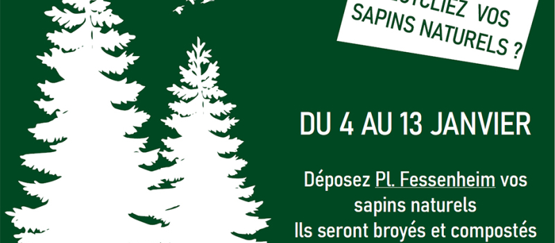 Environnement recyclez vos sapins