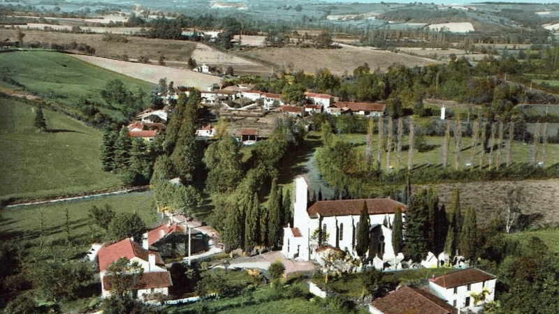 Chers Amis Millepattes