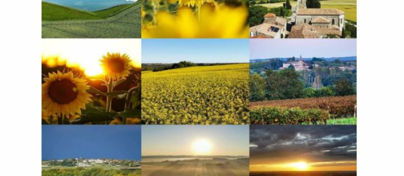 Les Gersois performants sur Instagram d'après l'Observatoire Social Media des territoires