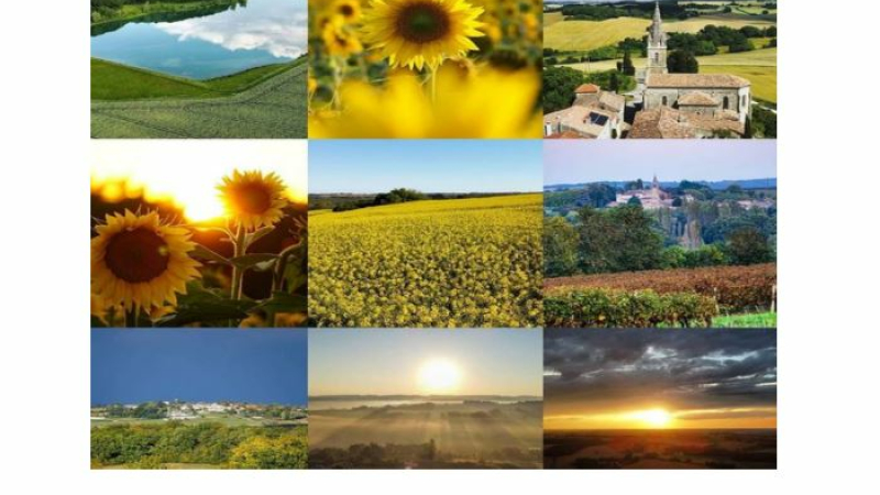 Les Gersois performants sur Instagram d'après l'Observatoire Social Media des territoires