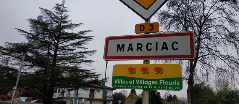 Trois fleurs bien méritées