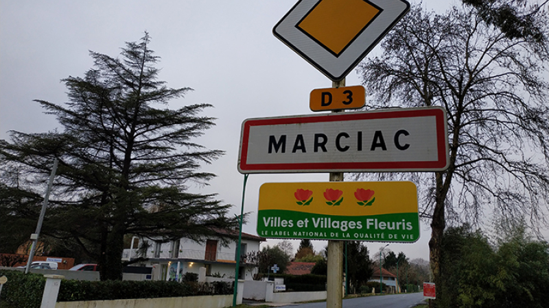 Trois fleurs bien méritées