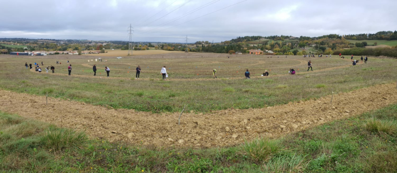 Plantation d'arbres à Cauderon par les élèves de 6ème