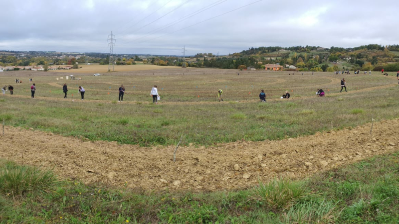 Plantation d'arbres à Cauderon par les élèves de 6ème