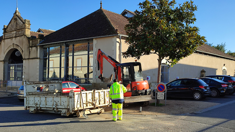 Des arbres mutés vers d'autres destination