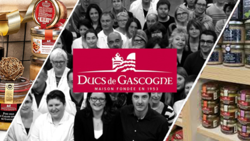 Ducs De Gascogne recrutent