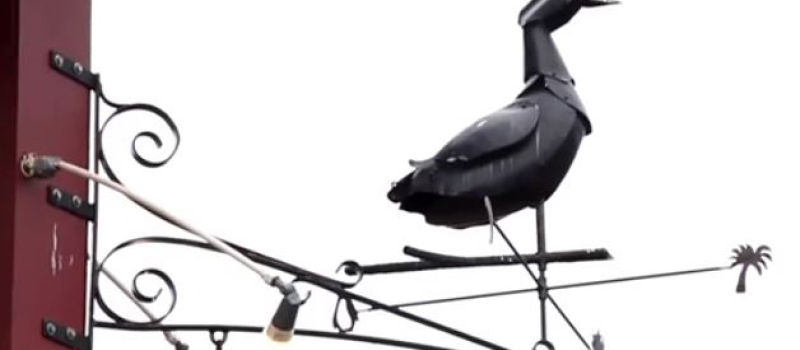 "Festi-Canard" : des étudiants se penchent sur le projet