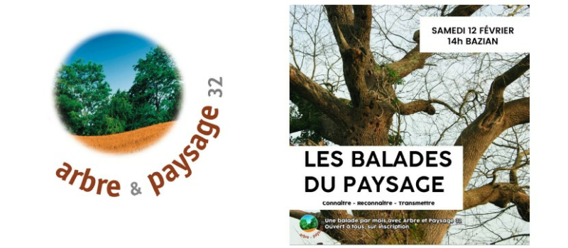Une balade-découverte organisée par Arbre et Paysage 32 à Bazian