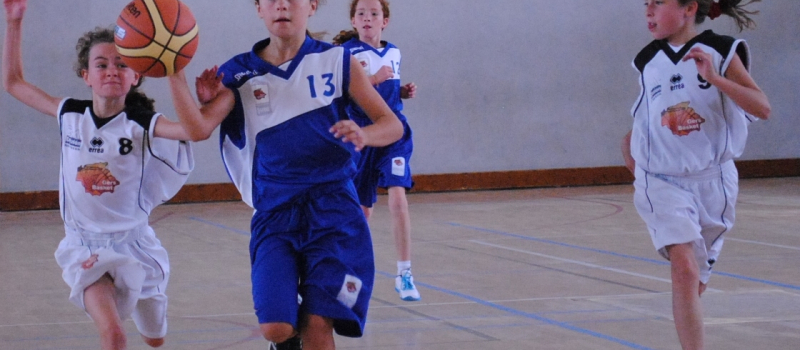 Basket. Stages "jeunes" avec le Comité