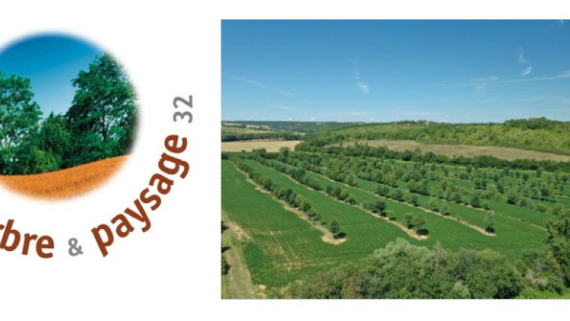 Florine Routier d'Arbre et Paysage 32 sur DFM 930 mercredi