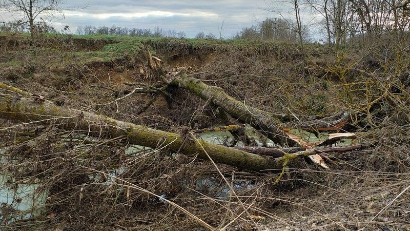 Travaux d'entretien de la rivière Gers et gestion des embâcles