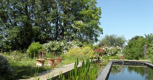 jardin-daniele-web.jpg