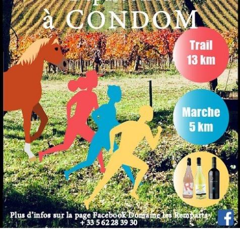 courses vins.JPG