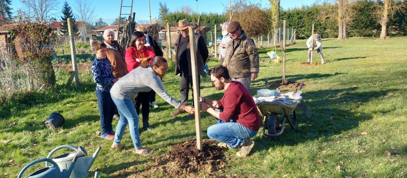 Atelier greffage d'arbres fruitiers aux jardins familiaux !