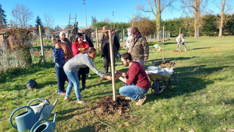 Atelier greffage d'arbres fruitiers aux jardins familiaux !