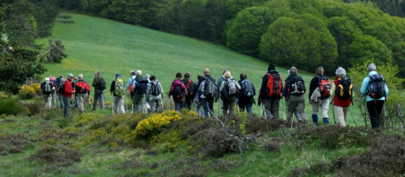 Une marche pour une bonne cause