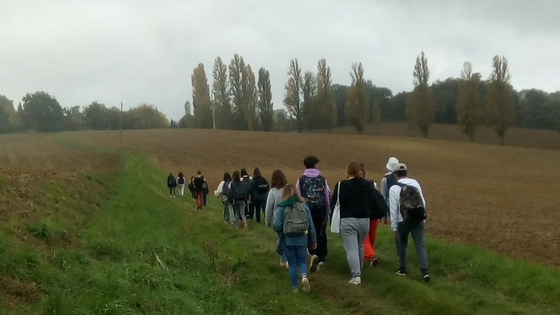 Participez à l'enquête sur les chemins de Saint-Jacques