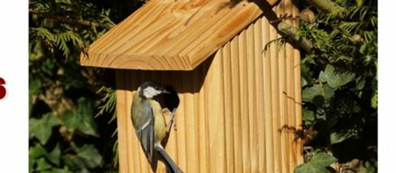 Une idée à construire, un peu de bricolage utile pour les oiseaux à la MJC