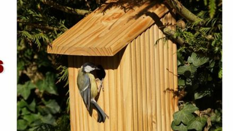Une idée à construire, un peu de bricolage utile pour les oiseaux à la MJC