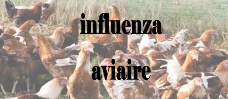 Influenza aviaire hautement pathogène (IAHP) : mise en place d’une zone réglementée supplémentaire dans l’Astarac