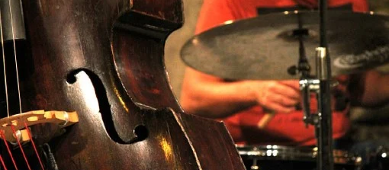 Samedi 19 mars, concert avec « Le Tigre des platanes »